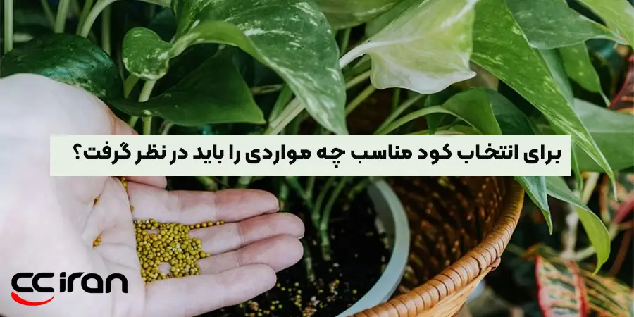 برای انتخاب کود مناسب چه مواردی را باید در نظر گرفت؟